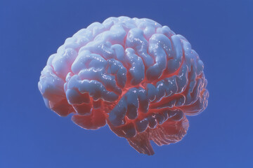 3D rendering of human brain on blue background