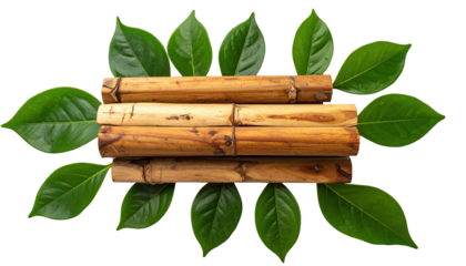 Wooden rods framed by vibrant leaves