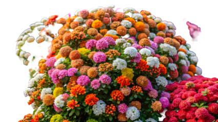 colorful easter eggs