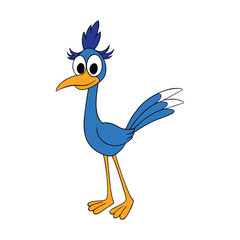 Cute roadrunner bird illustration for advertising and banners