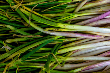 Green onion isolated on the wooden background