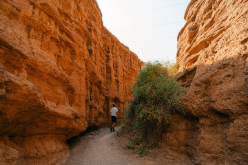  Kok-Moinok canyon in Kyrgyzstan in sunny day