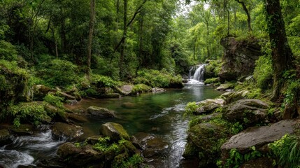 Obraz premium A lush green forest with a small stream running through it. The water is clear and calm, and the trees are tall and leafy. The scene is peaceful and serene, with the sound of the water