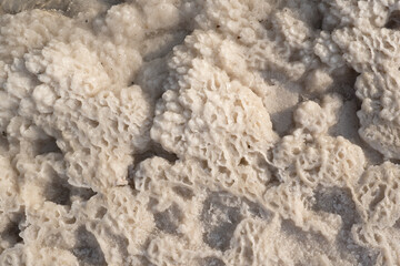 Salt crust on the salt lake Baskunchak, Astrakhan region. Russia