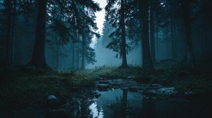 Fototapeta premium A forest at night with a stream running through it. The trees are tall and dark, and the water is calm. Scene is peaceful and serene, as if one were taking a walk through a quiet, natural setting