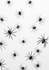 黒い蜘蛛の群れ 白背景 ハロウィン素材