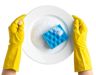 washing machine and sponge