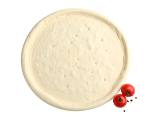 ladybird on a white background