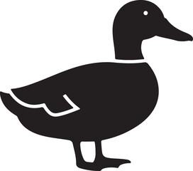 duck isolated on white