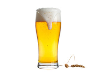 glass of beer isolated