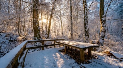 A wooden bench sits in a serene forest blanketed in snow. Sunlight filters through bare trees casting a warm glow over the tranquil winter landscape.