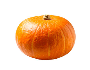 pumpkin isolated on white background