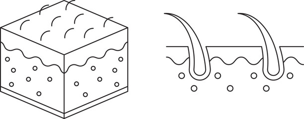 Skin icon symbol diagram vector illustration.