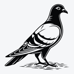 Fototapeta premium Pigeon line art White background illustration Generative Ai 
