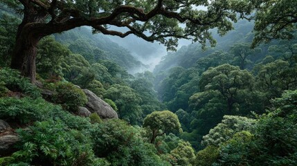 Fototapeta premium Tropical forest landscape lush green canopy colorful birds misty air vibrant flora exotic and desirable