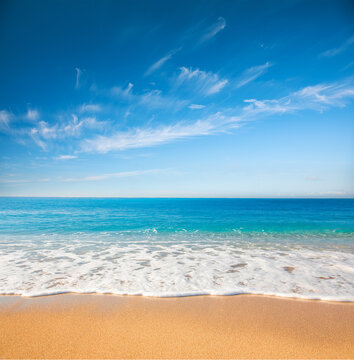 Beautiful beach and tropical sea