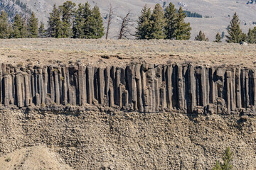 Fototapeta premium Columnar-jointed lava flow in the wall of the Yellowstone River canyon. Sediments and basalts of The Narrows ( Pleistocene ). Calcite springs overlook, Yellowstone National Park , Wyoming. 