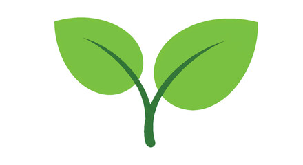 Simple green sprout with two leaves on white background