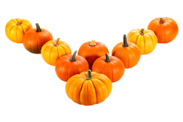 Assortment of orange and yellow pumpkins isolated on a transparent background squash