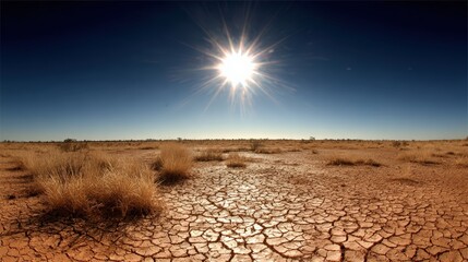 Vast dry landscape under bright sunlight with cracked ground and sparse vegetation