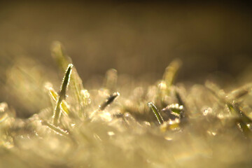 SAMSUNG CAMERA PICTURES © Aleksander