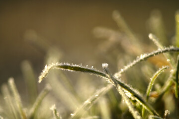 SAMSUNG CAMERA PICTURES © Aleksander