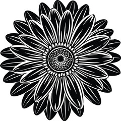 Abstract art with dynamic color swirls and energetic light trails isolated on transparent background