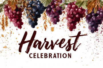 Harvest celebration design with grapes and wheat watercolor illustration for autumn festivals isolated on white background