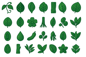 Various green leaves and plants showcasing a range of shapes and textures in a simple and clear design suitable for various uses