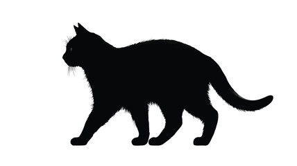 Obraz premium Elegant Black Cat Silhouette in Graceful Stance