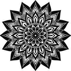 High angle view of fresh green basil leaves with water droplets studio lighting isolated on transparent background