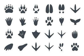 Fototapeta premium Collection of animal tracks and prints displayed in various shapes and sizes for educational purposes