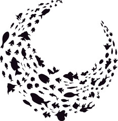 School of fish creating a crescent shape