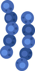 Blueberries fruit simple cartoon pattern design