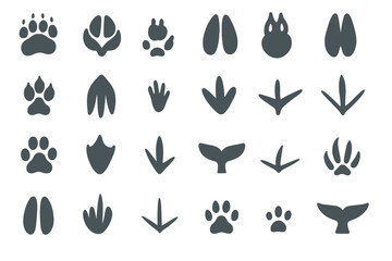 Variety of animal tracks displayed in a unique pattern on a white background