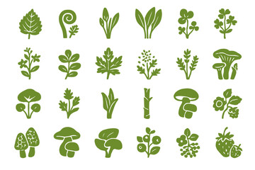 Fototapeta premium Various green plants, herbs, and mushrooms arranged in a neat pattern on a white background