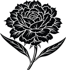 Abstract swirls of color dance with light motion and energy dynamic visual flow isolated on transparent background