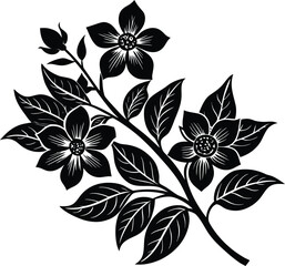 Abstract glowing light trails bursting outward in a dynamic energy explosion isolated on transparent background