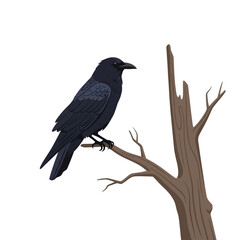 A majestic black crow perched on a weathered tree branch, observing its surroundings.