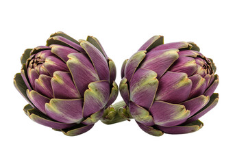 Artichokes against transparent background