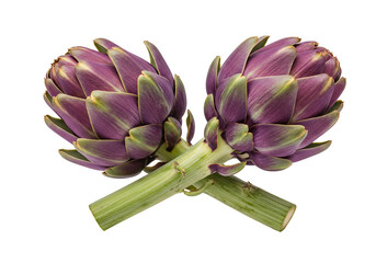 Artichokes cross stems vegetables fresh food