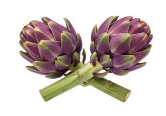 Artichokes cross stems vegetables fresh food