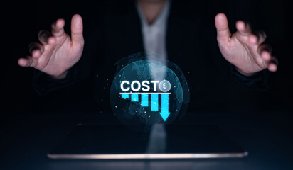 Naklejka premium Cost reduction and cost saving through digital transformation, business cost optimization, operational cost reduction, financial saving, and resource efficiency strategies for business success. Spline