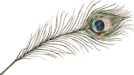 Goddess Saraswati Symbolism: Peacock Feather Adornments for Inspiration and Creativity