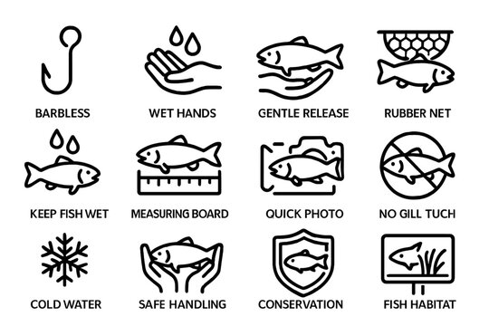 Catch-Release Icons Grid. Outline icon set of catch and release ethics: barbless hook, wet hands, gentle