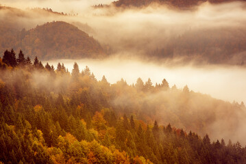 Misty autumn mountain landscape at sunrise in Slovenia