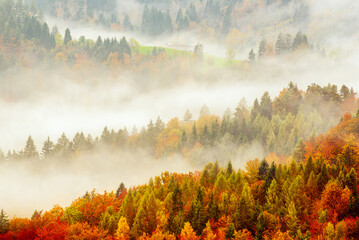 Fototapeta na wymiar Misty autumn mountain landscape at sunrise in Slovenia