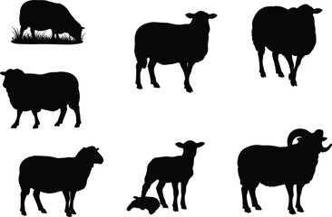 Sheep silhouettes set, grazing sheep, standing sheep, ram with horns, lamb illustration, farm animal vector, livestock design, countryside artwork