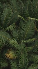 Lush Green Palm Fronds - A Tropical Canopy Overhead.
