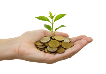 Hand holding coins with growing plant financial concept